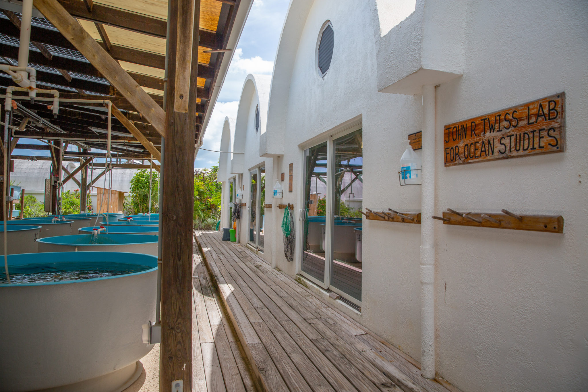 Home - The Island School