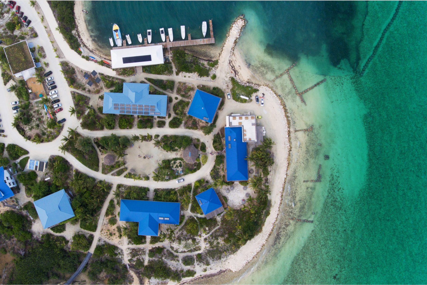 About Us - The Island School