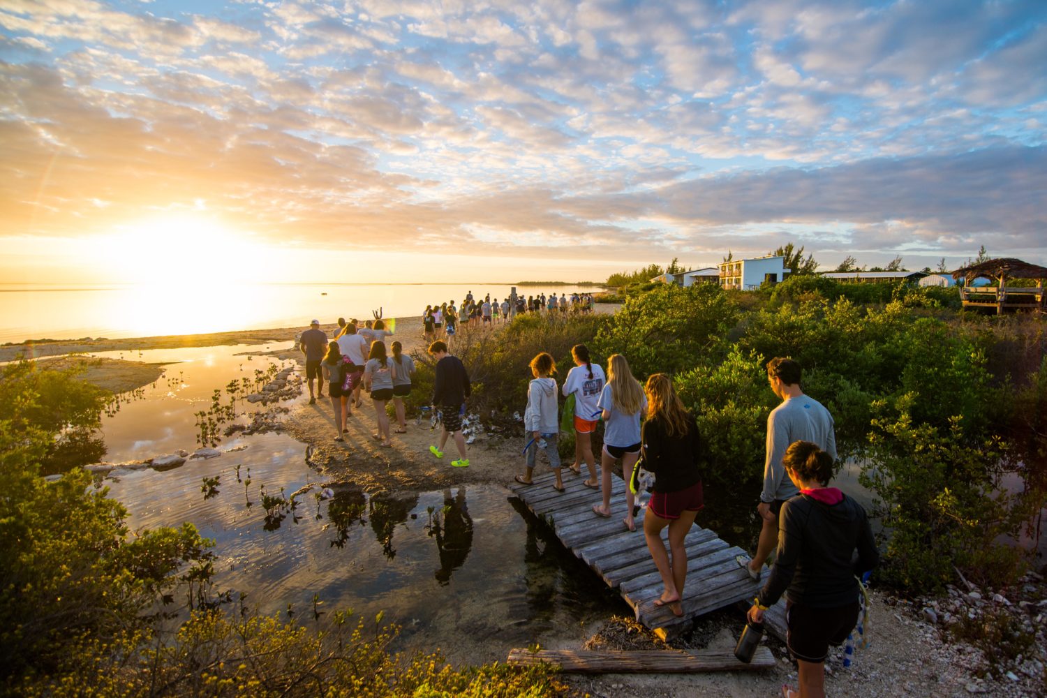 About Us - The Island School