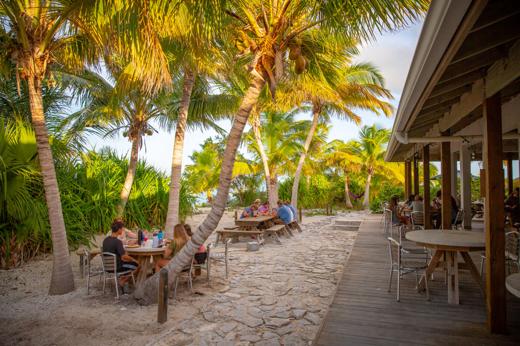 Student Life - The Island School