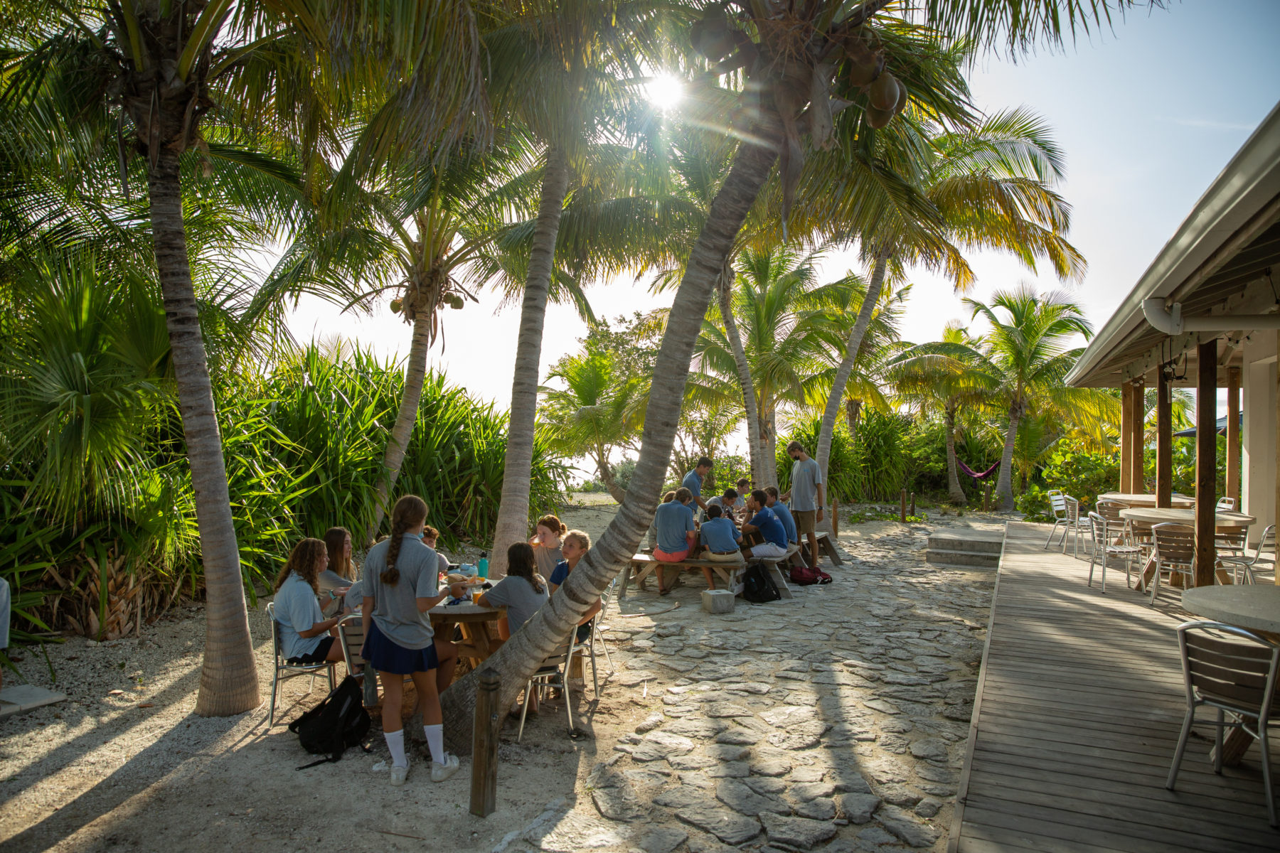 Campus & Facilities - The Island School
