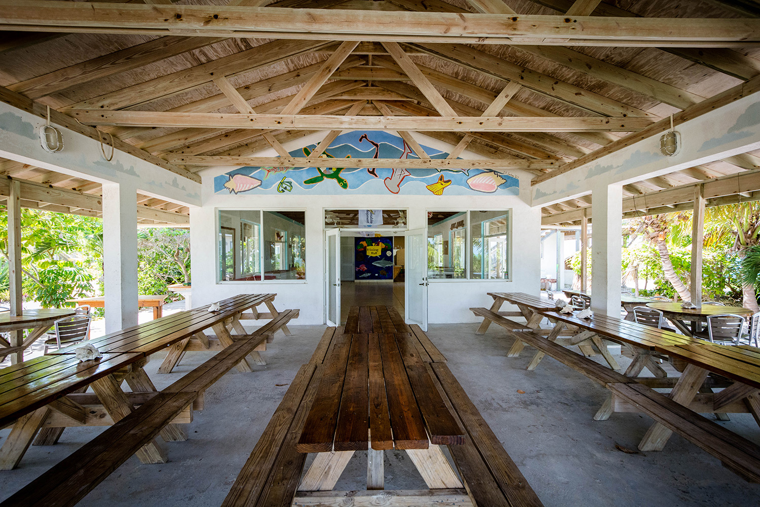 Campus & Facilities - The Island School