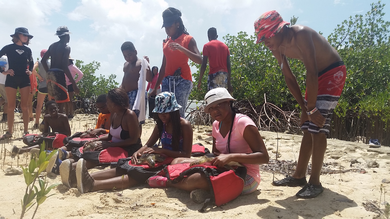 Students sit on the beach to hold turtles as the research team takes their measurements 