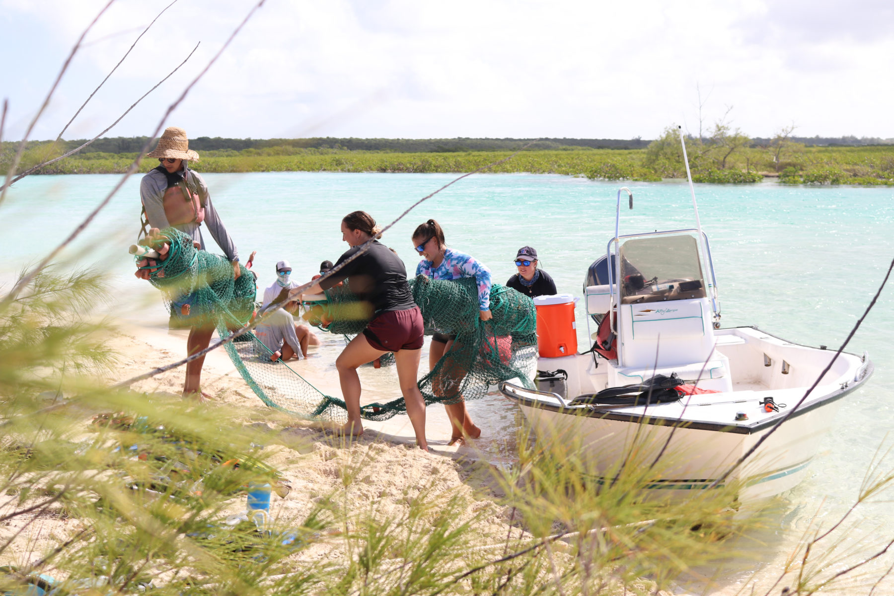 Semester & Summer Term Alumni - The Island School