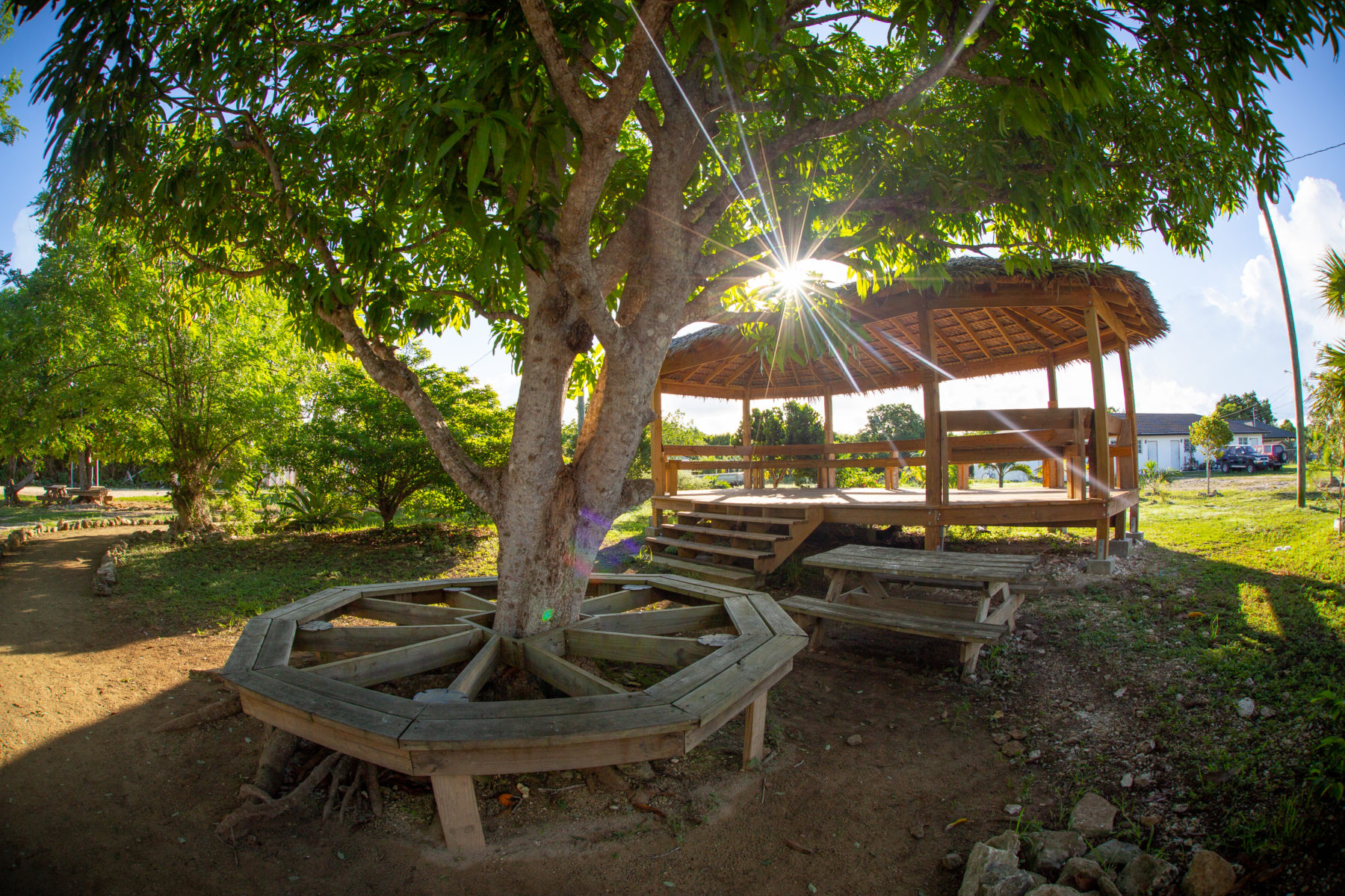Student Life - The Island School