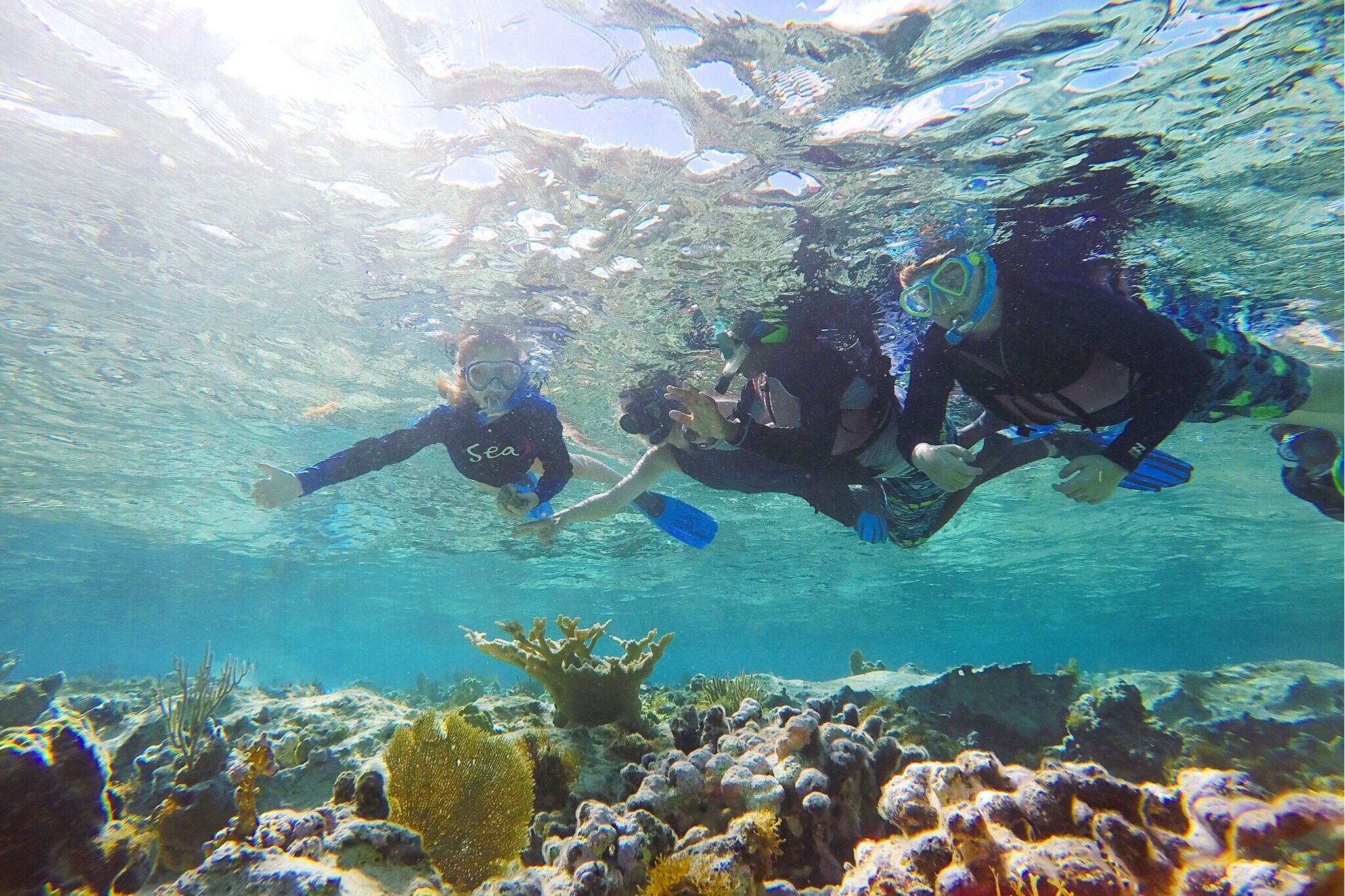 Students snorkeled at Lighthouse Beach, visiting corals and practicing their fish ID.