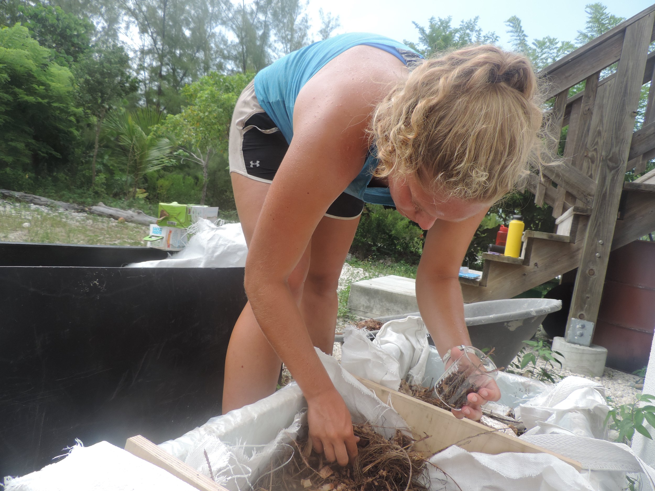 Kelly collects samples of soil and wood chips for preliminary testing of the glycerol and pH levels in the soil.
