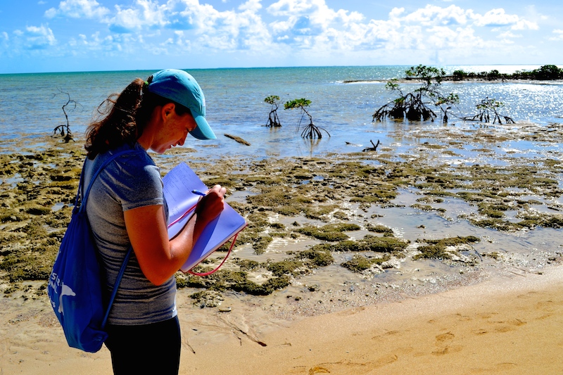 Emily taking notes during Marine Ecology on the students' silent walk