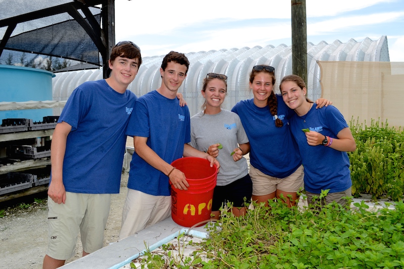 Sustainable Systems students learning about aquaponics