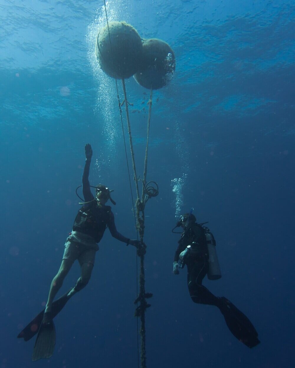 Divers attaching equipment for a fish tracking project that is nearing completion.