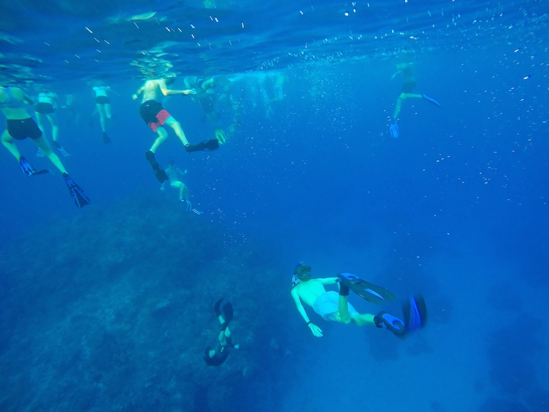 Students free diving