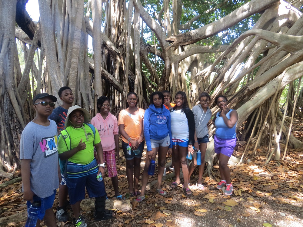 The whole group at the banyan tree