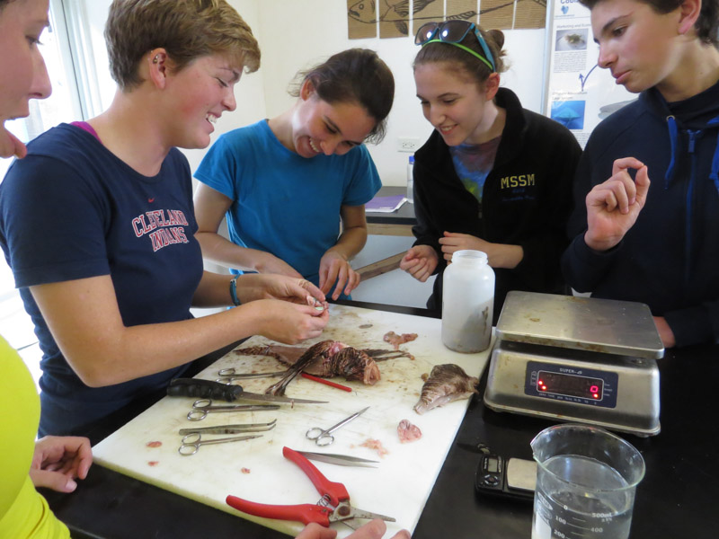 Students learning about the anatomy of the invasive lionfish with Alicia Hendrix, CEI's research technician for the sustainable fisheries program.
