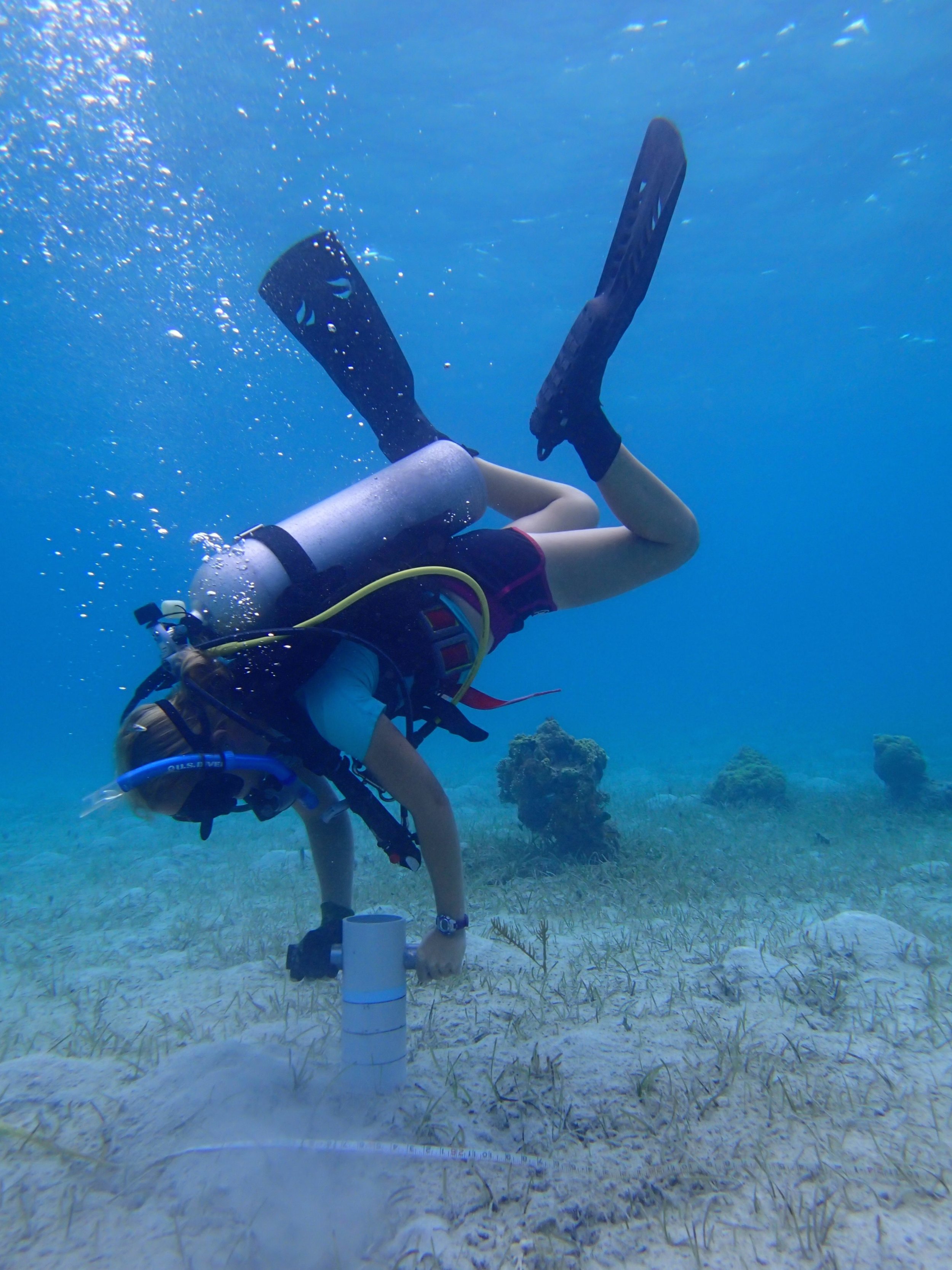 Kayla Jeffreys takes a seagrass core in the patch reefs
