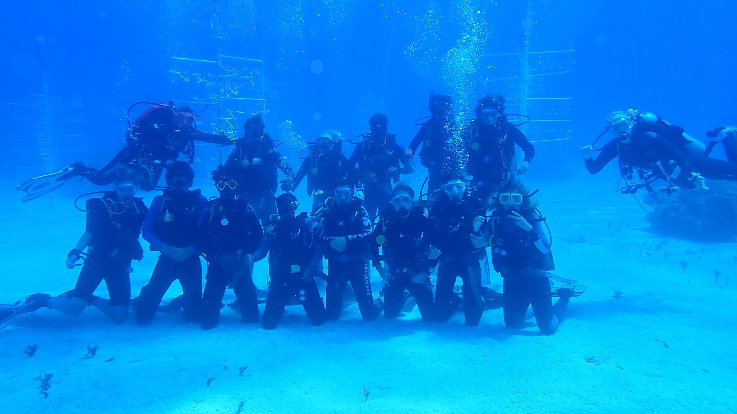 Students Dive into Coral Restoration - The Island School