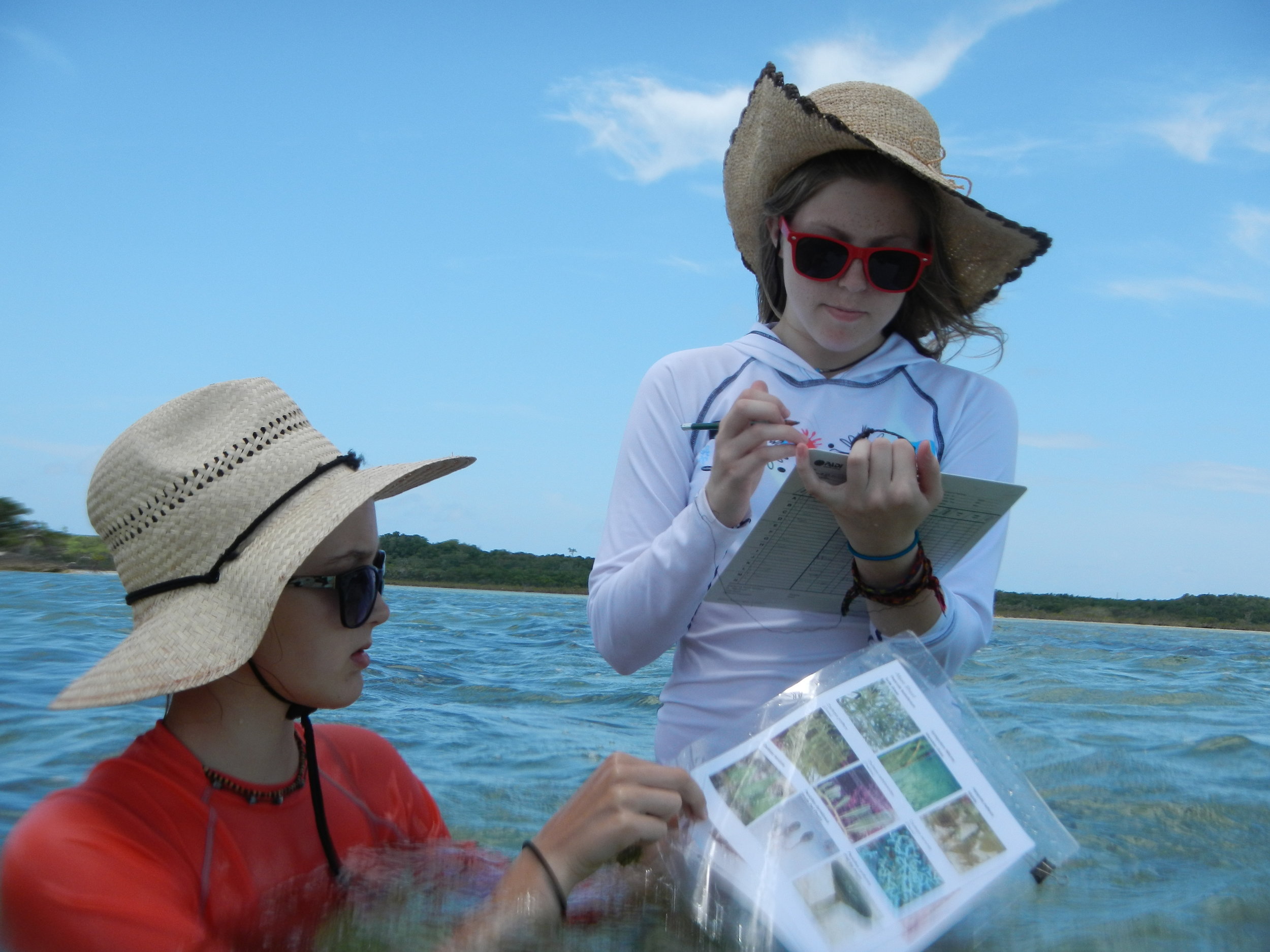 Two students IDing some seagrass out in the field
