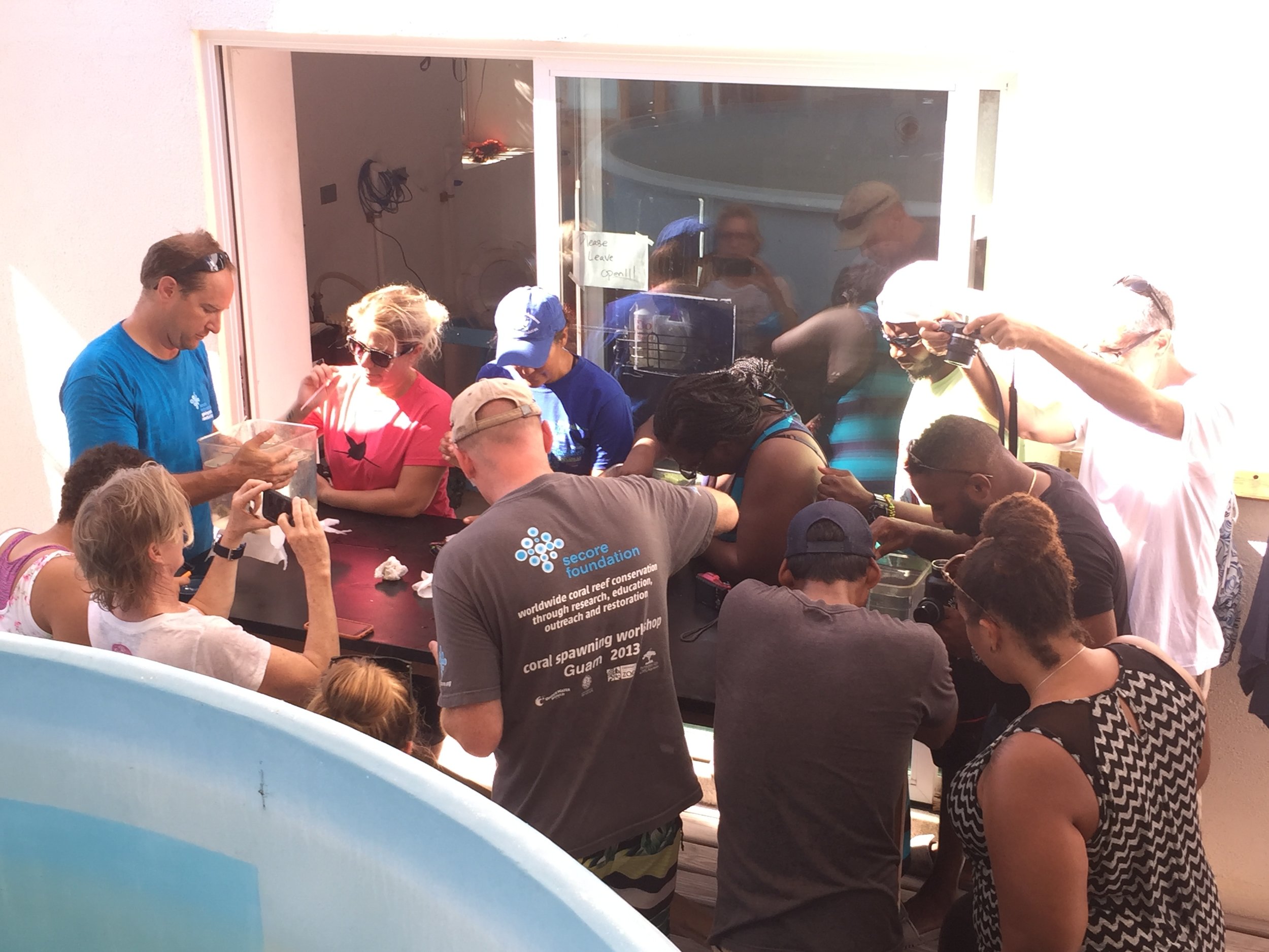 Coral reproduction workshop led by Dr. Dirk Peterson from SECORE International. Here, various scientists and conservationists are collecting brooding coral larvae from individual tanks to be observed under the microscope!