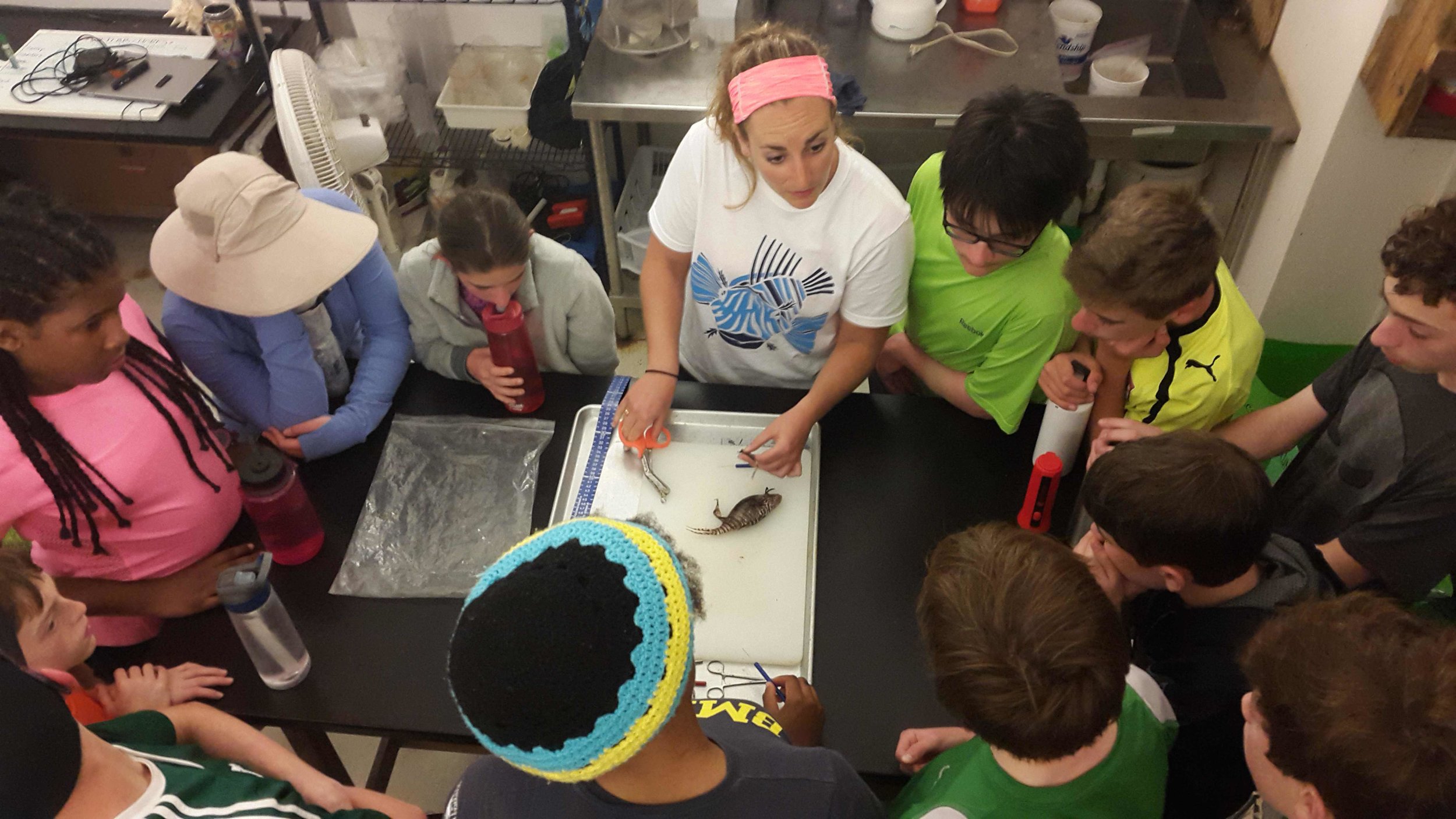 lionfish dissection ratner