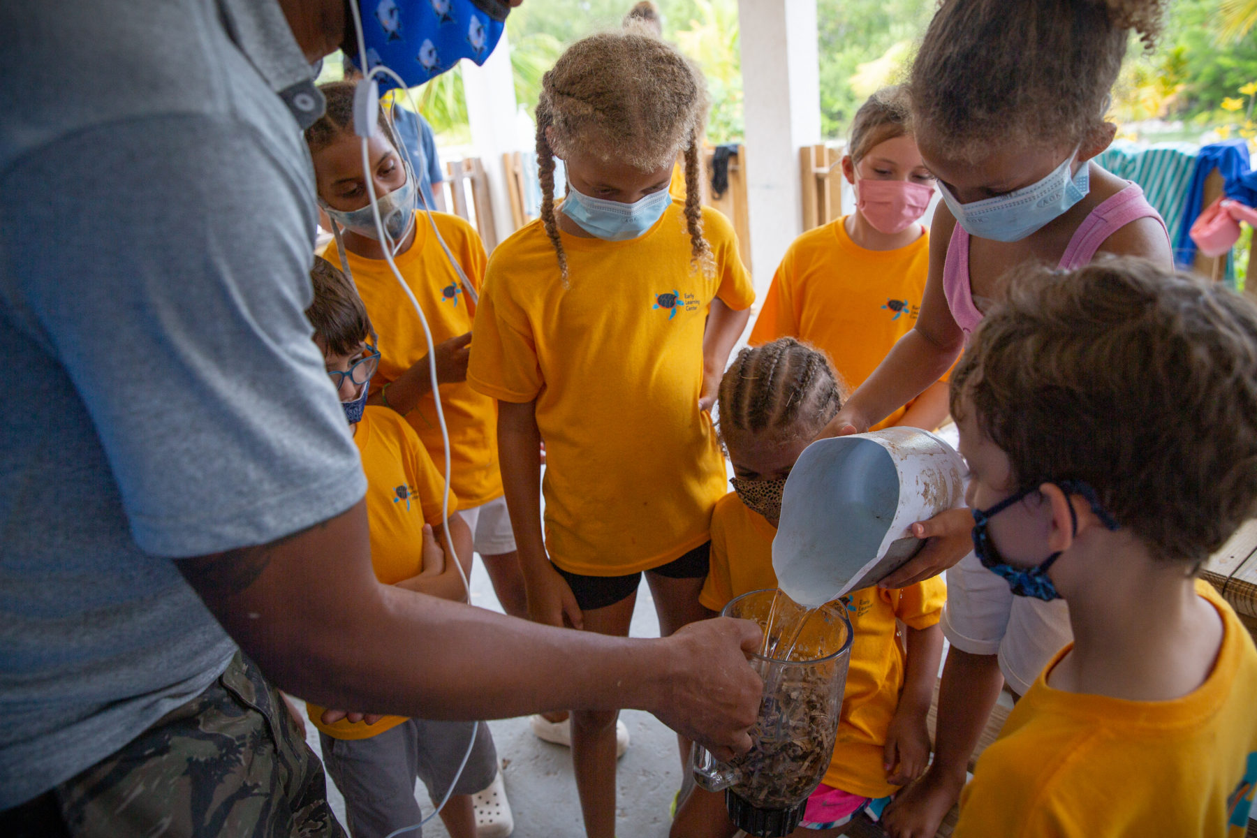 Curriculum - The Island School