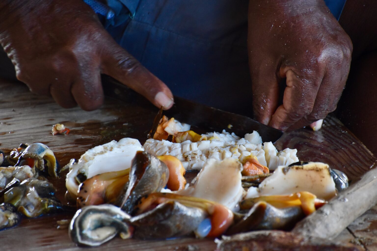 Island School Semester Students Dive Into Queen Conch Research - The ...
