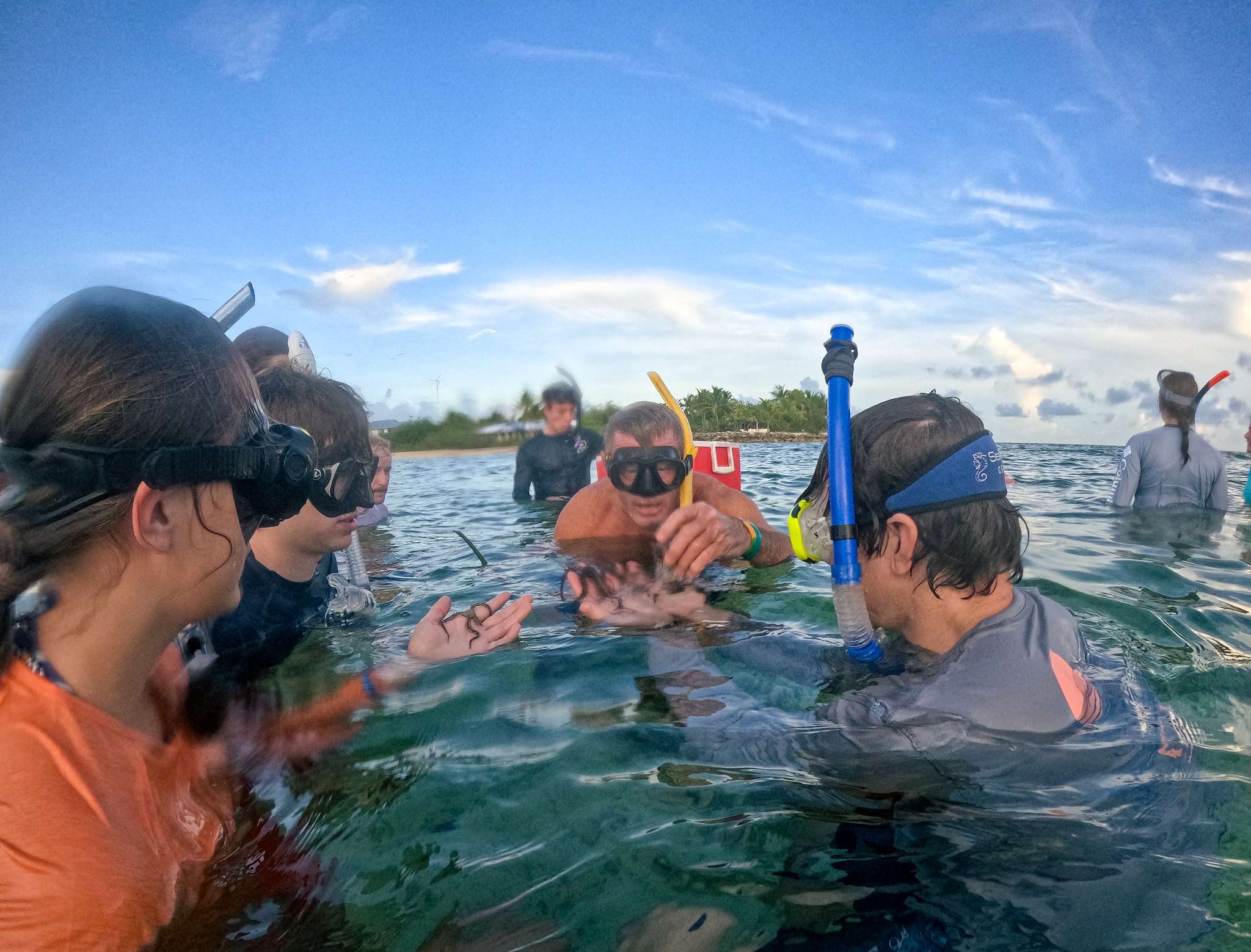 Warm Welcomes and New Adventures: Fall 2025 is Here! - The Island School