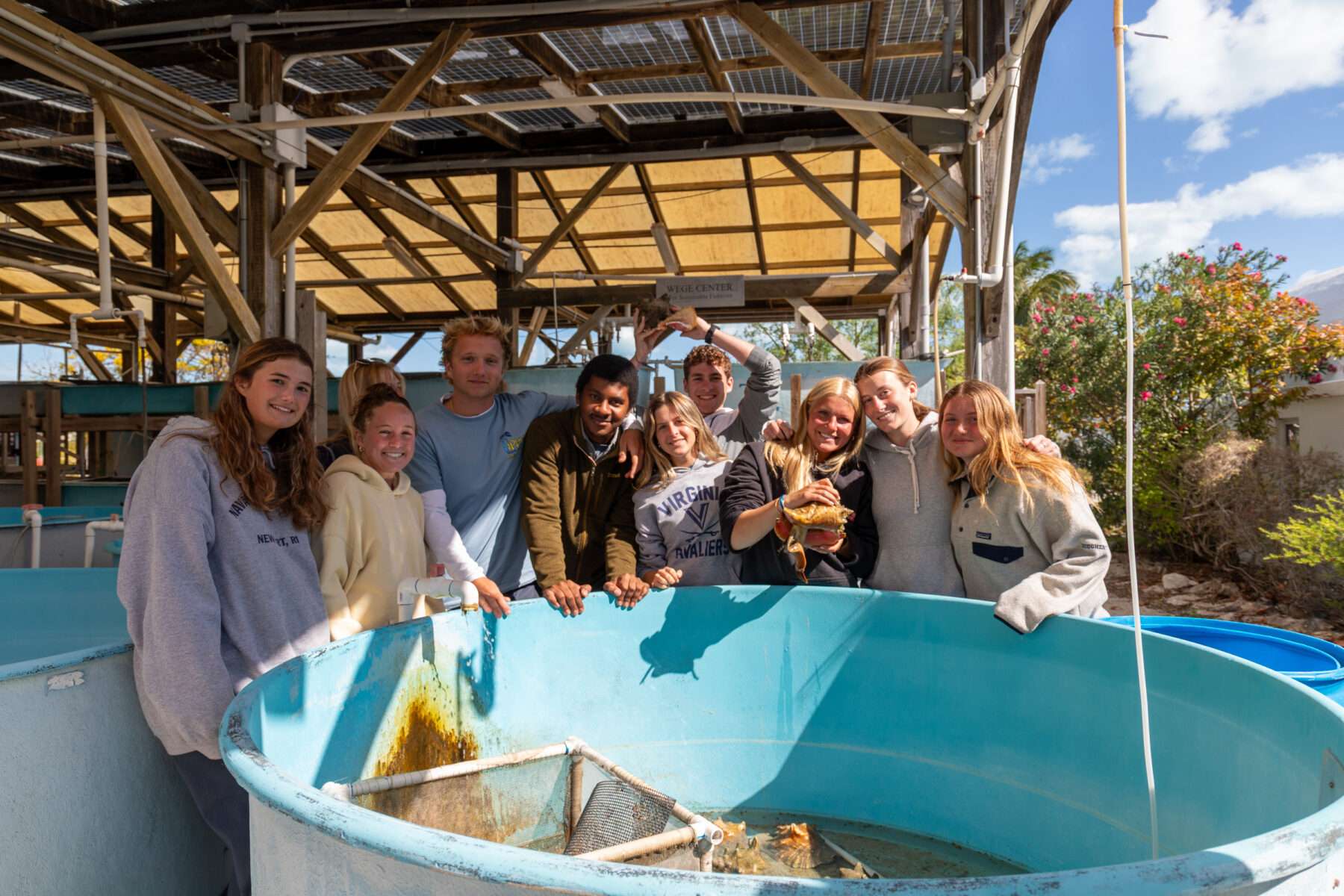 Spring 2026 Student Research Project: Queen Conch - The Island School